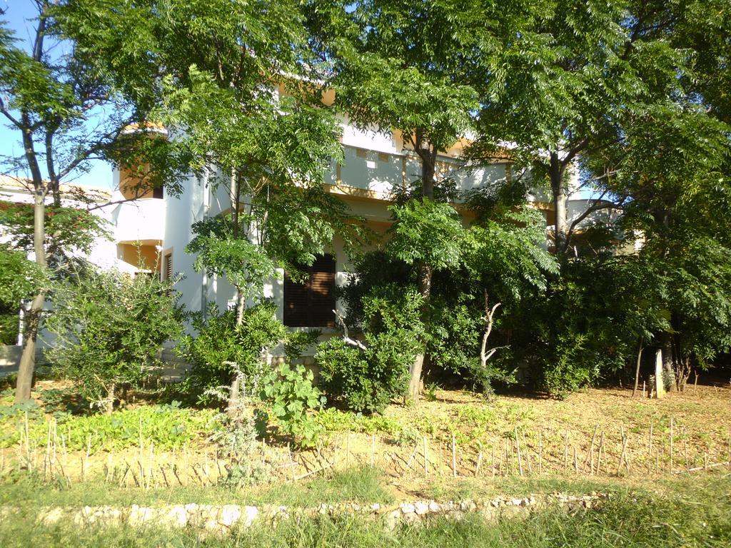 Apartments Kresimir Beauty With Shadow Trees And Parking Place Pag Town Szoba fotó