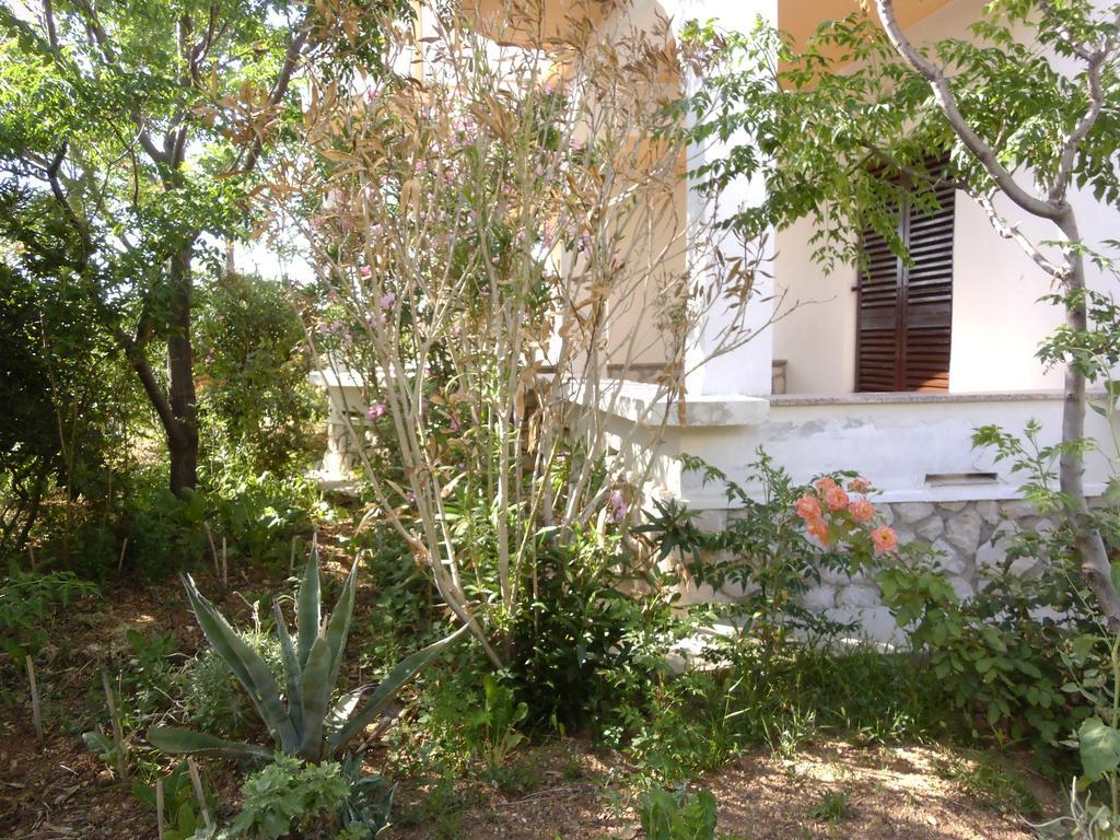 Apartments Kresimir Beauty With Shadow Trees And Parking Place Pag Town Szoba fotó